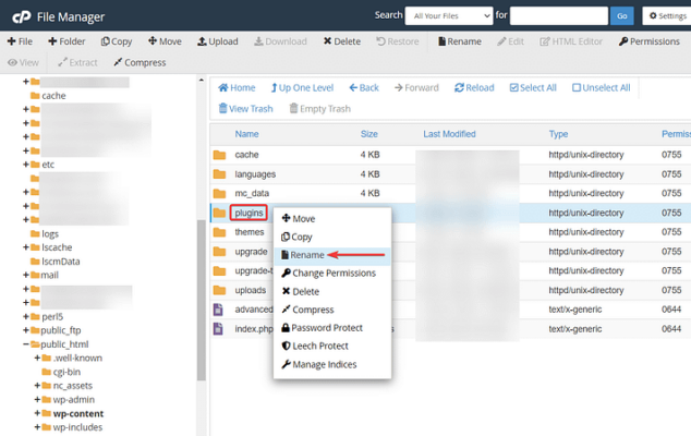 rename-plugins-folder-file-manager