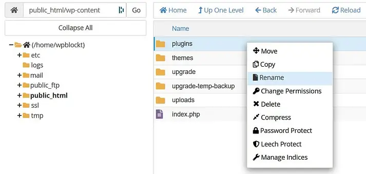 File-Manager-rename-plugins-folder