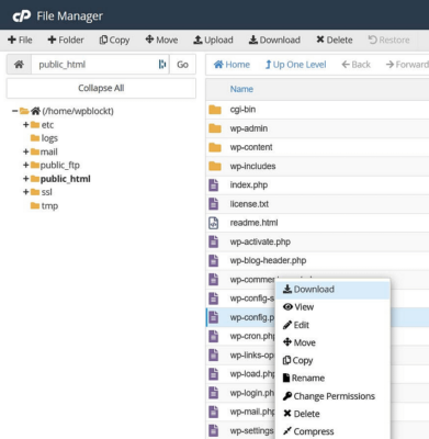 cPanel-File-Manager-download-wp-config