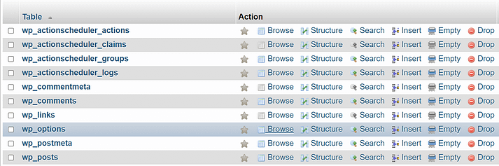 5.wp-options-table