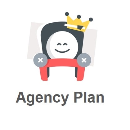 Agency Plan