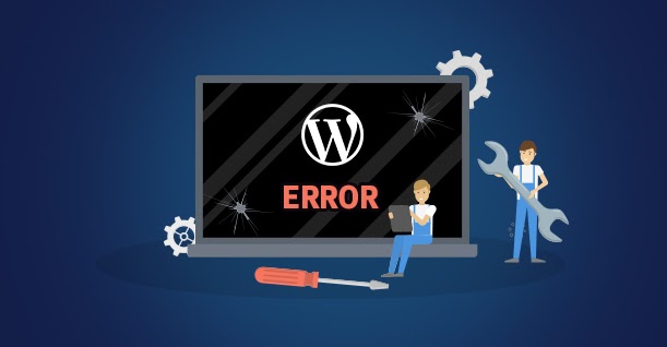 common wordpress error